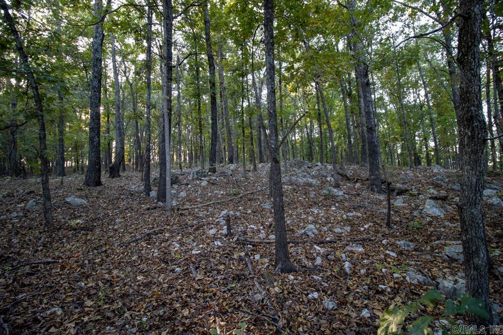 0000 McFarr  Ravenden, AR