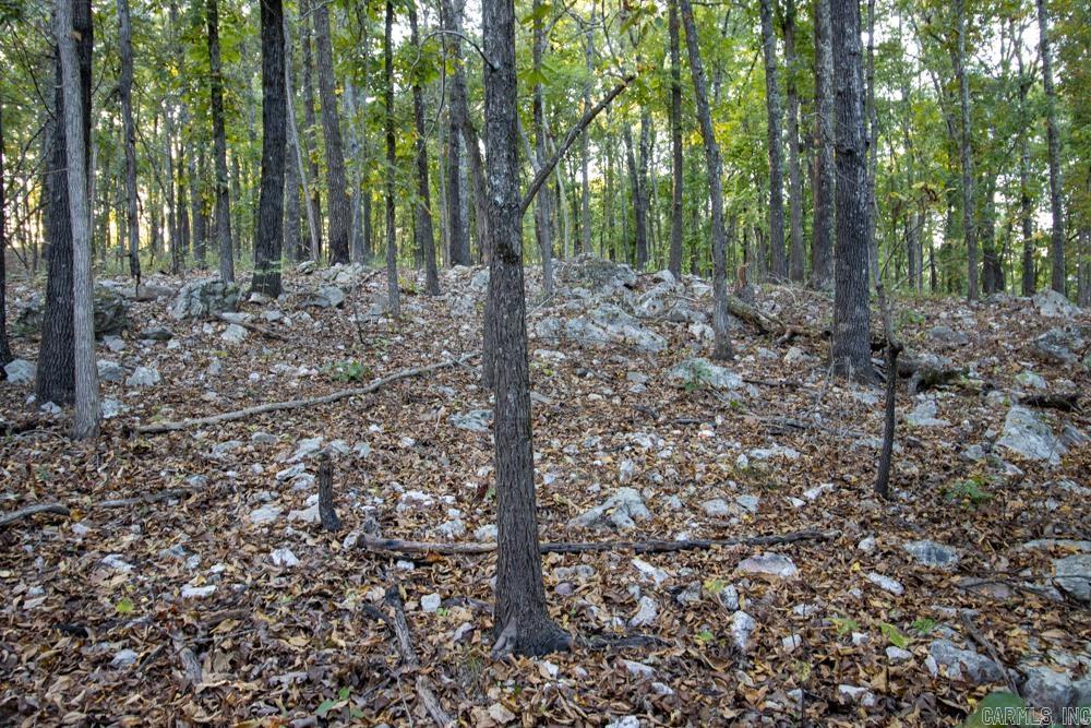 0000 McFarr  Ravenden, AR