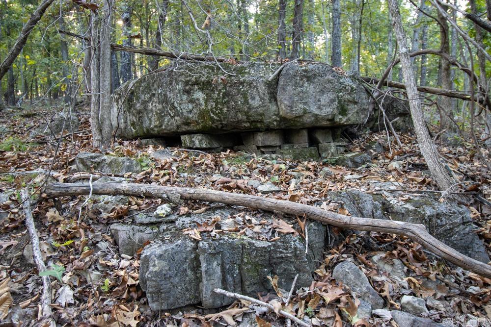 0000 McFarr  Ravenden, AR