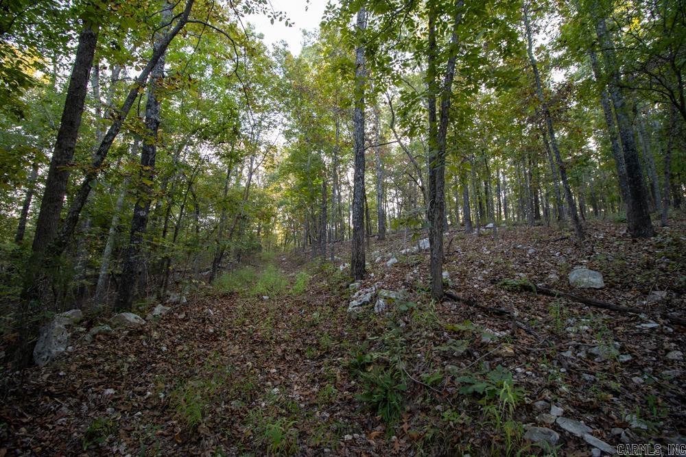 0000 McFarr  Ravenden, AR