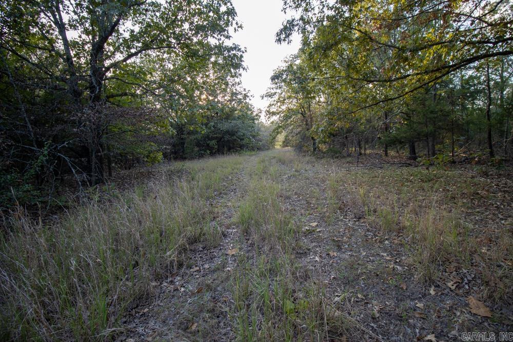 0000 McFarr  Ravenden, AR