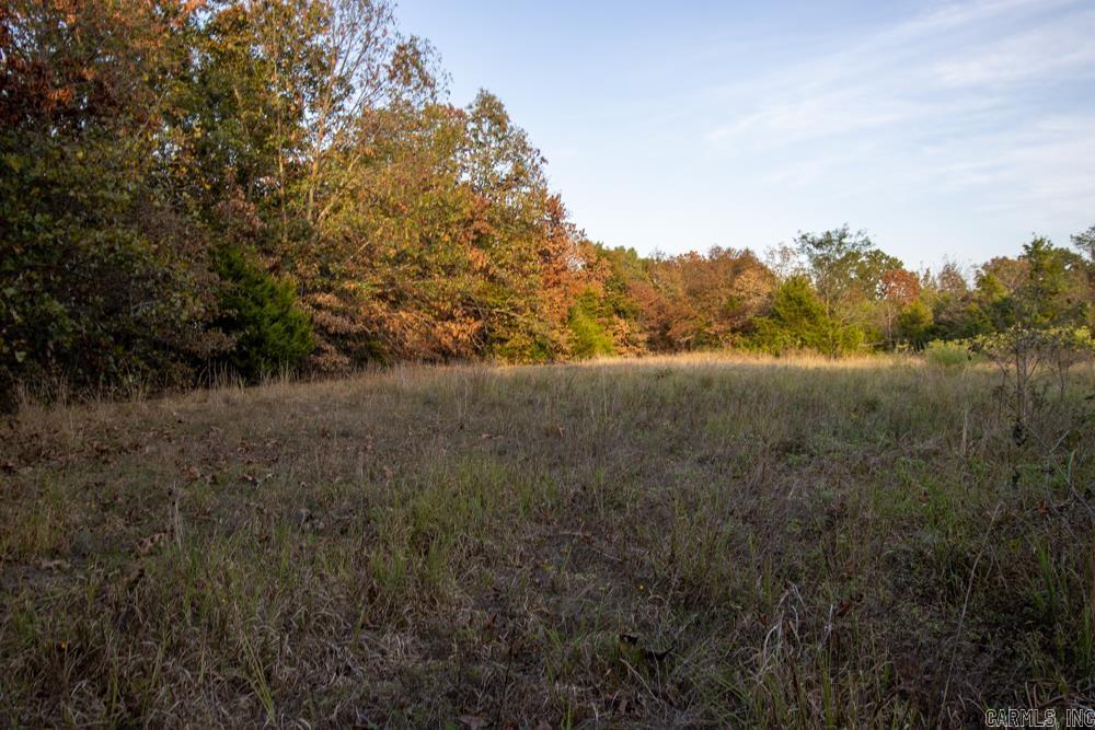 0000 McFarr  Ravenden, AR