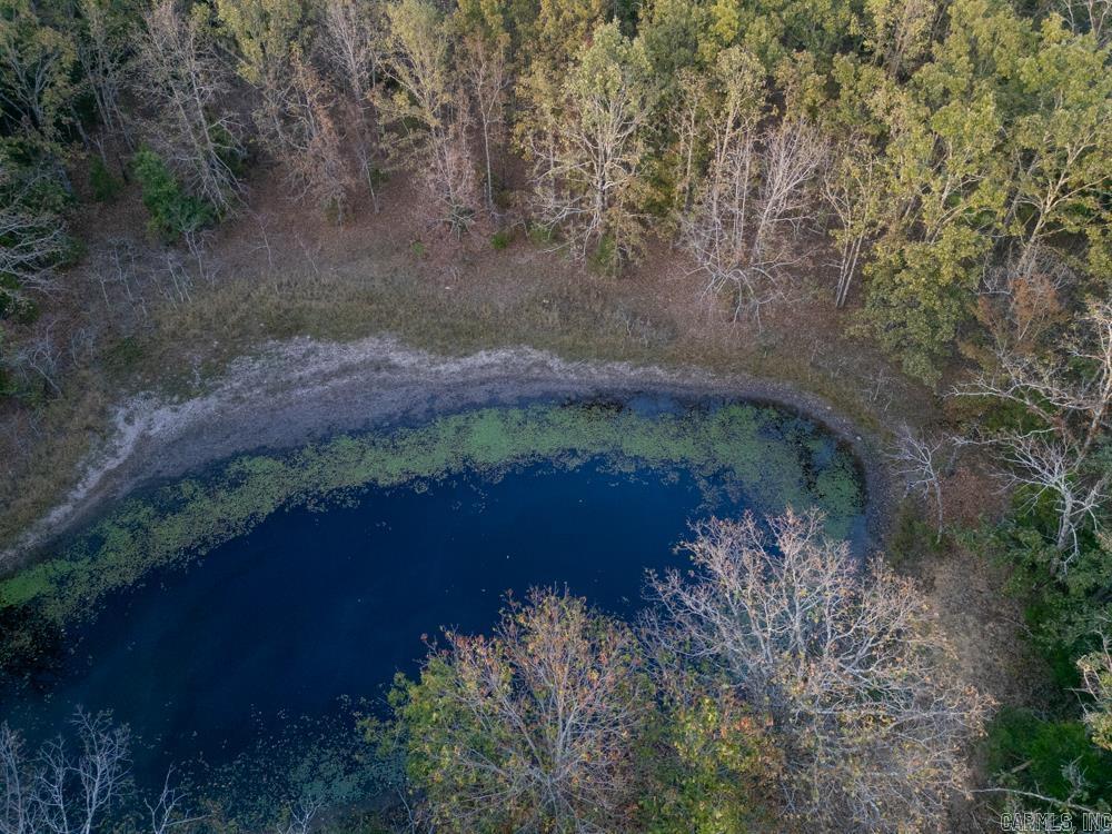 0000 McFarr  Ravenden, AR