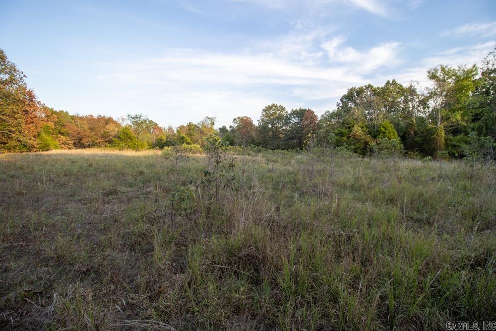 0000 McFarr  Ravenden, AR