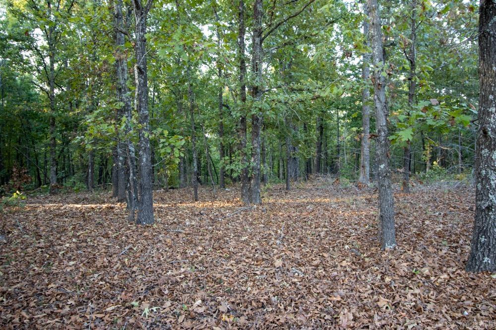 0000 McFarr  Ravenden, AR