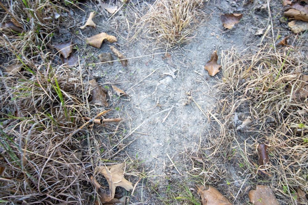 0000 McFarr  Ravenden, AR