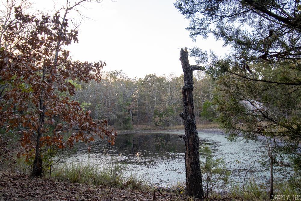 0000 McFarr  Ravenden, AR