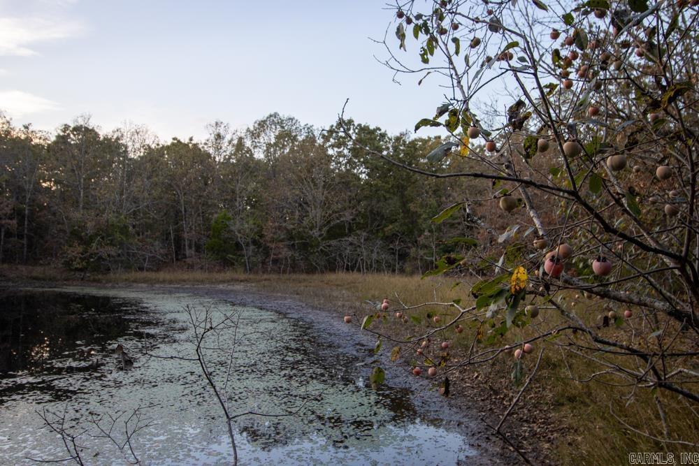 0000 McFarr  Ravenden, AR