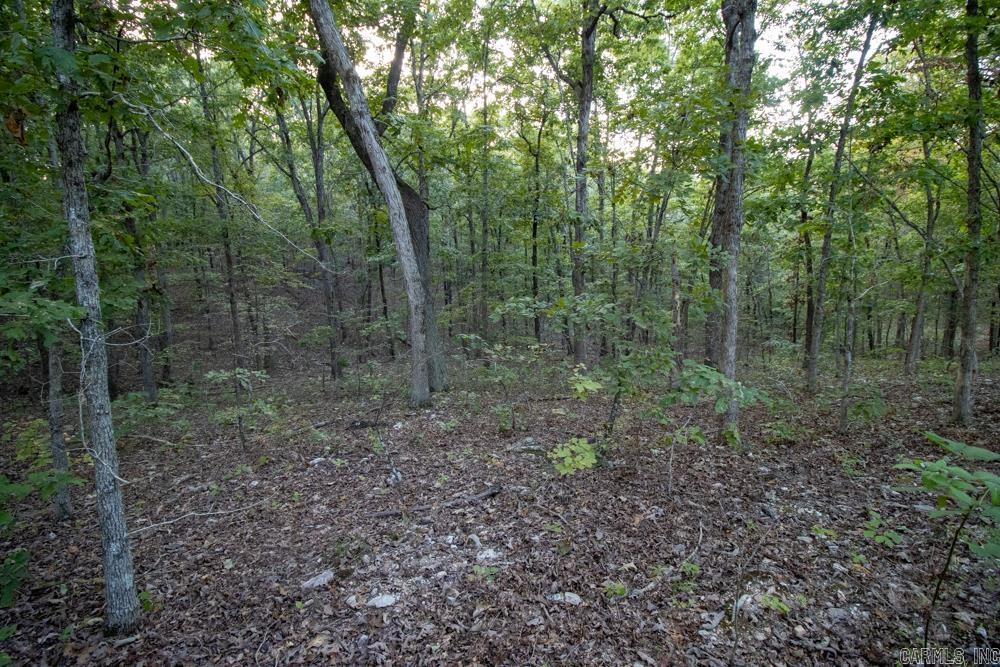 0000 McFarr  Ravenden, AR