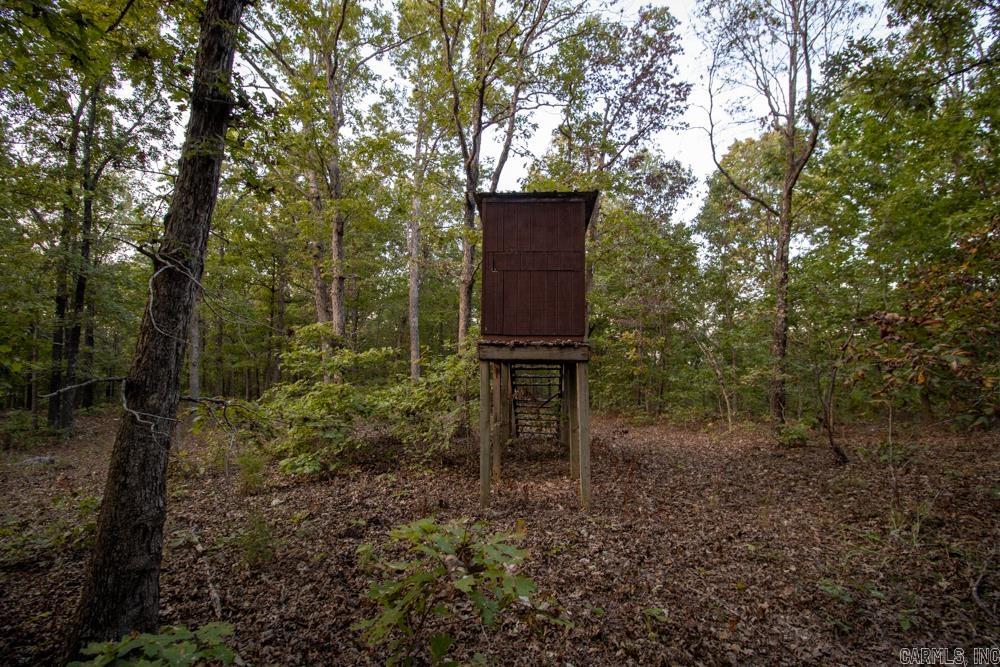 0000 McFarr  Ravenden, AR