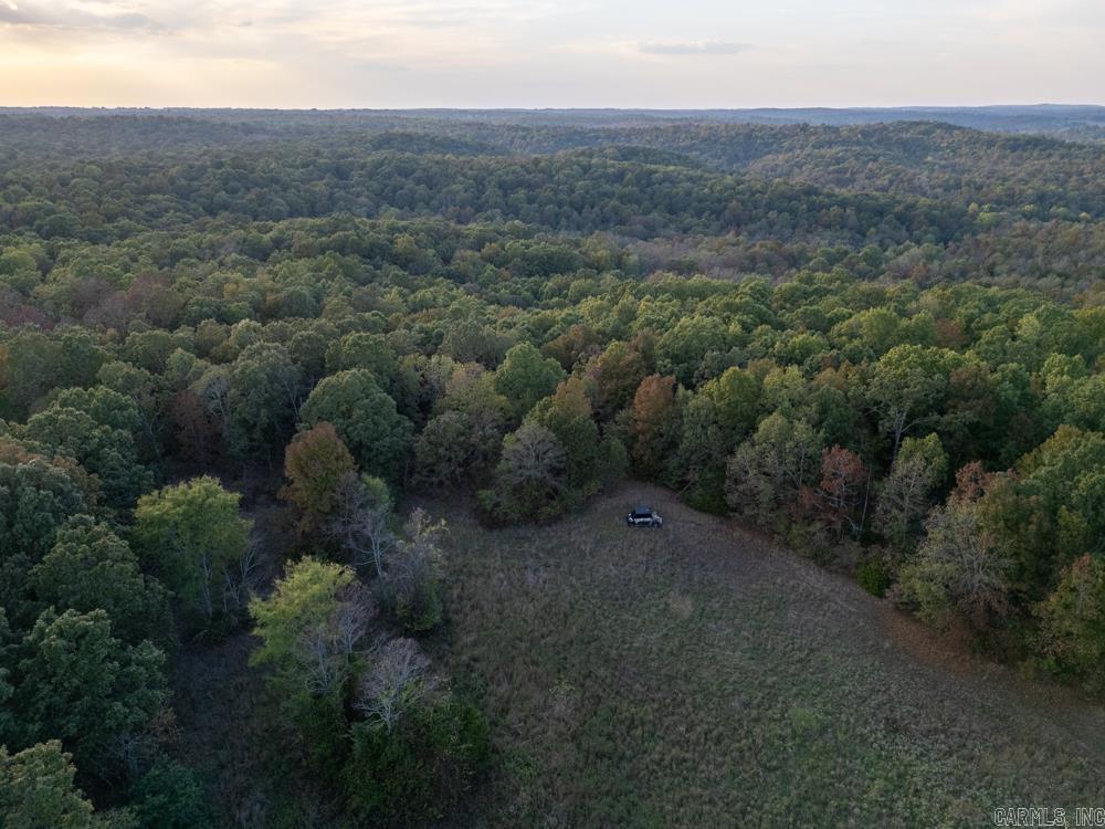 0000 McFarr  Ravenden, AR