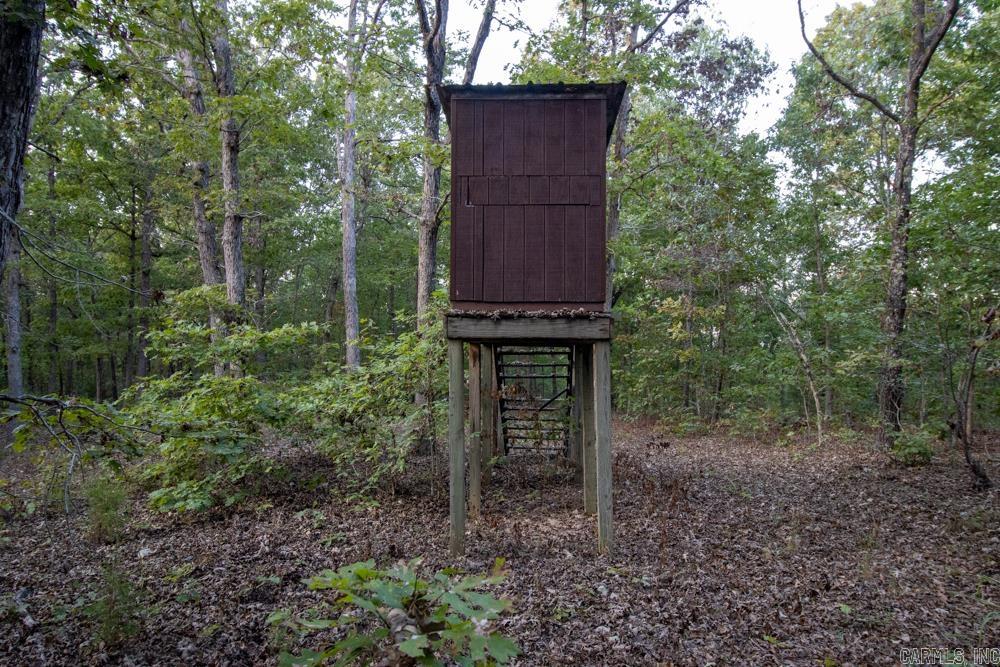 0000 McFarr  Ravenden, AR