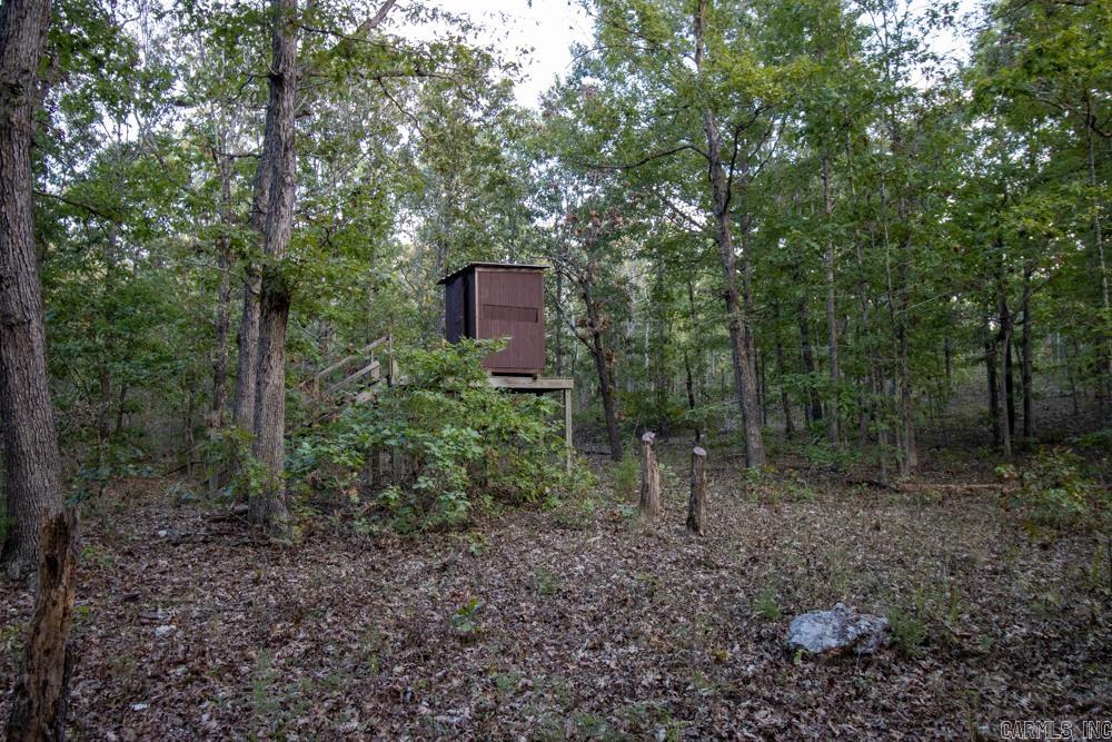 0000 McFarr  Ravenden, AR