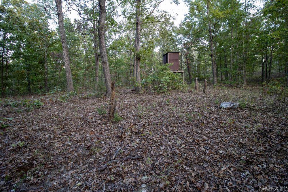 0000 McFarr  Ravenden, AR