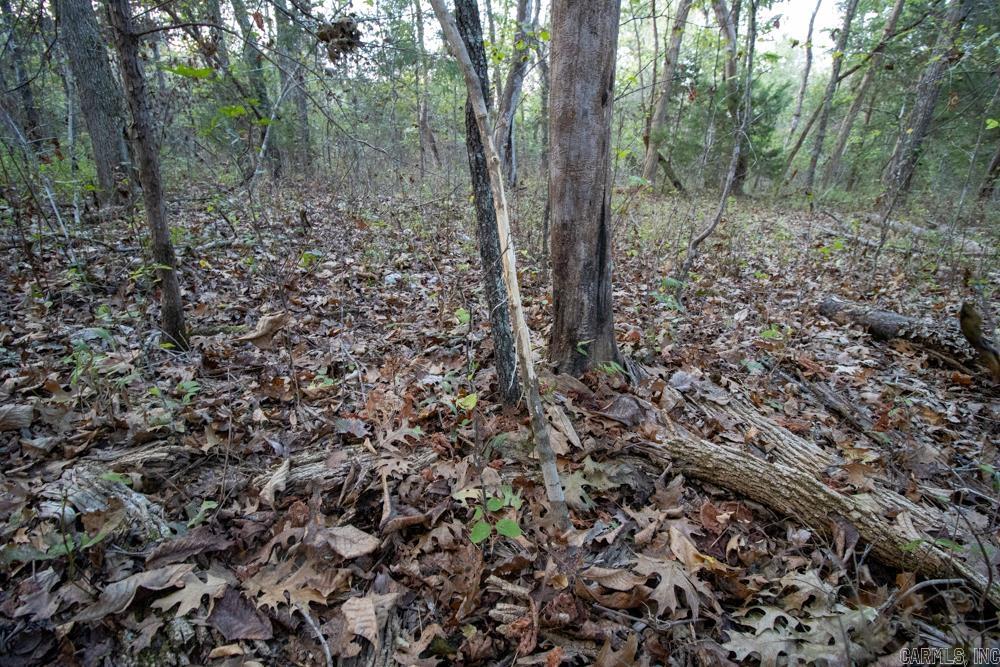 0000 McFarr  Ravenden, AR