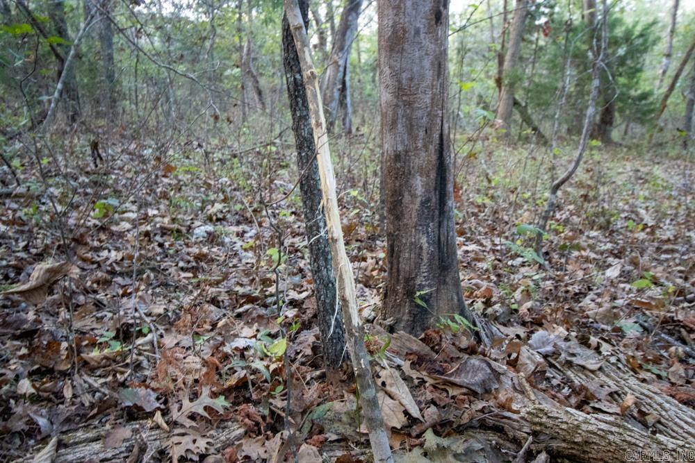 0000 McFarr  Ravenden, AR