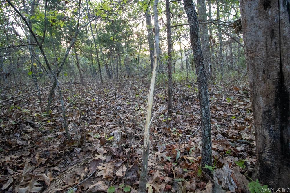 0000 McFarr  Ravenden, AR