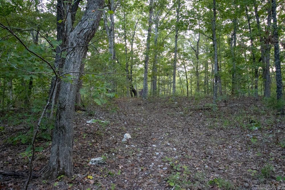 0000 McFarr  Ravenden, AR