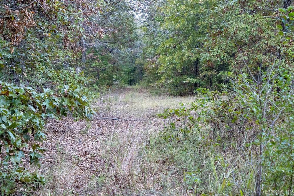 0000 McFarr  Ravenden, AR