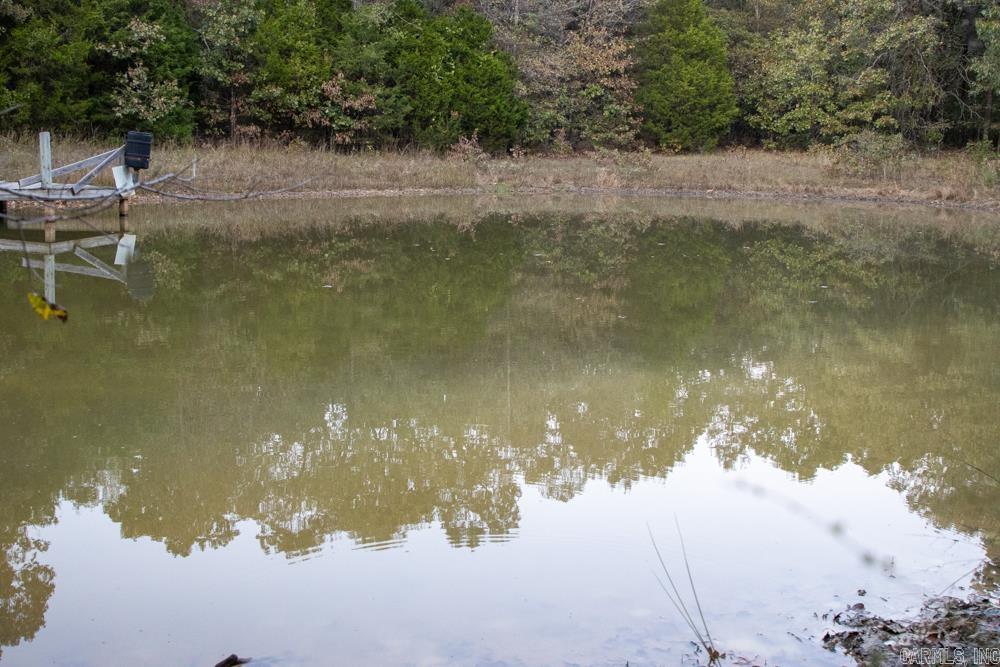 0000 McFarr  Ravenden, AR