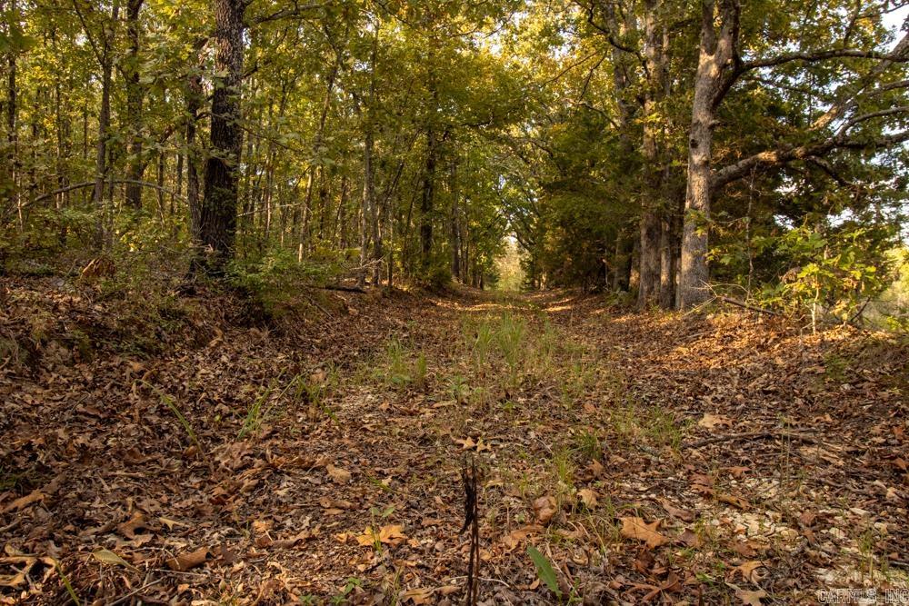 0000 McFarr  Ravenden, AR