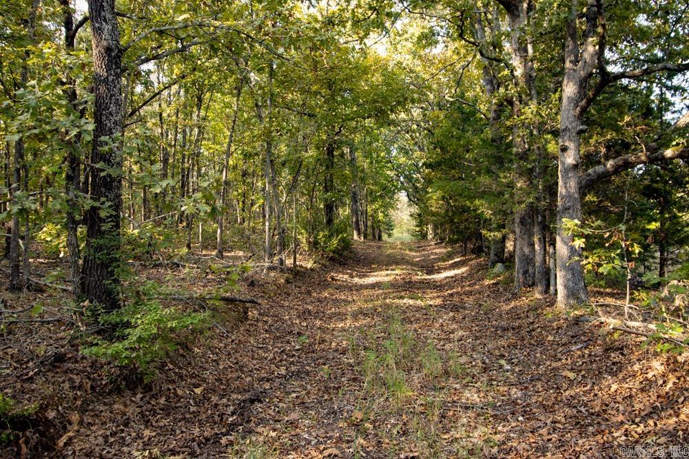 0000 McFarr  Ravenden, AR