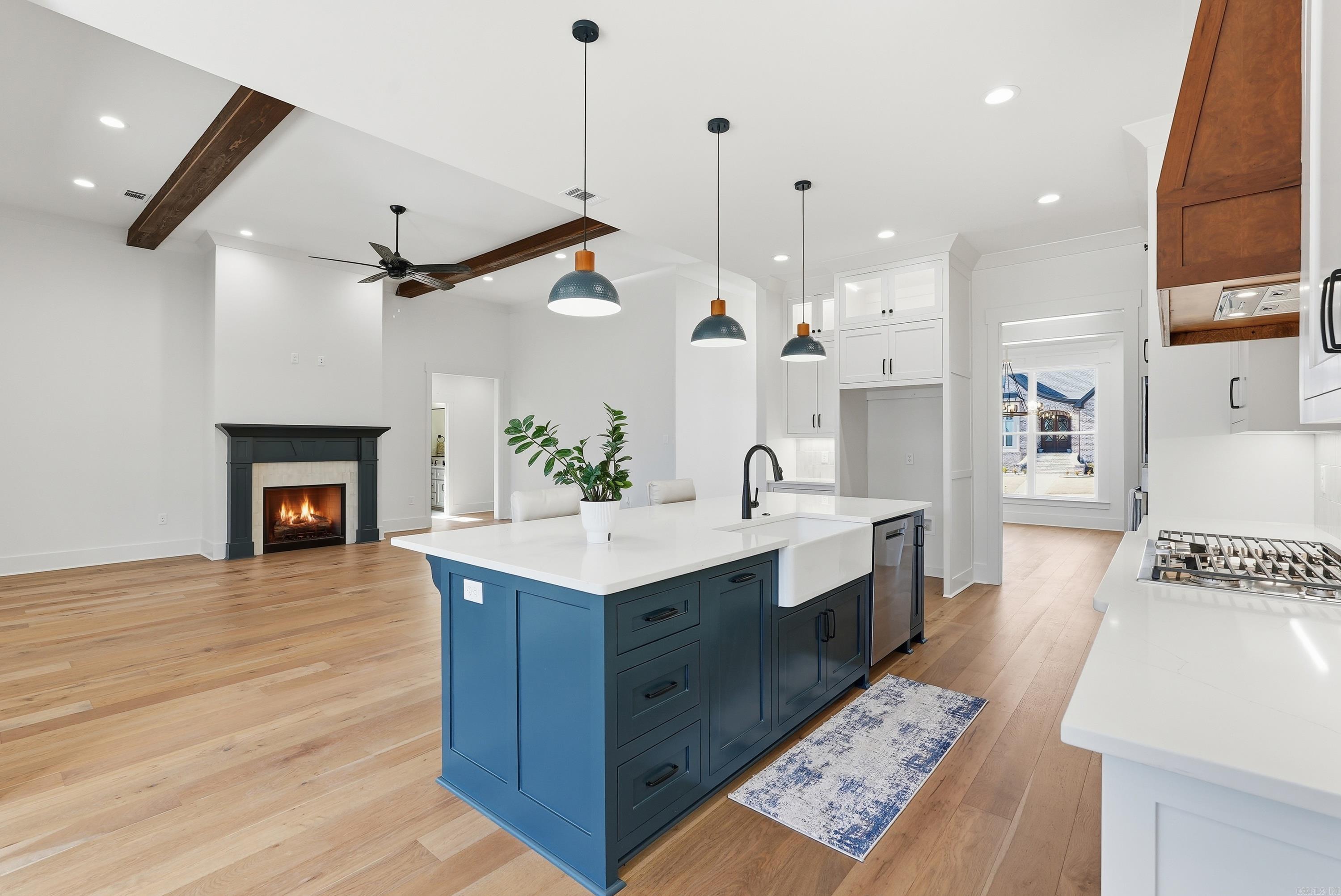 1650 Dolphin Drive  Conway, AR