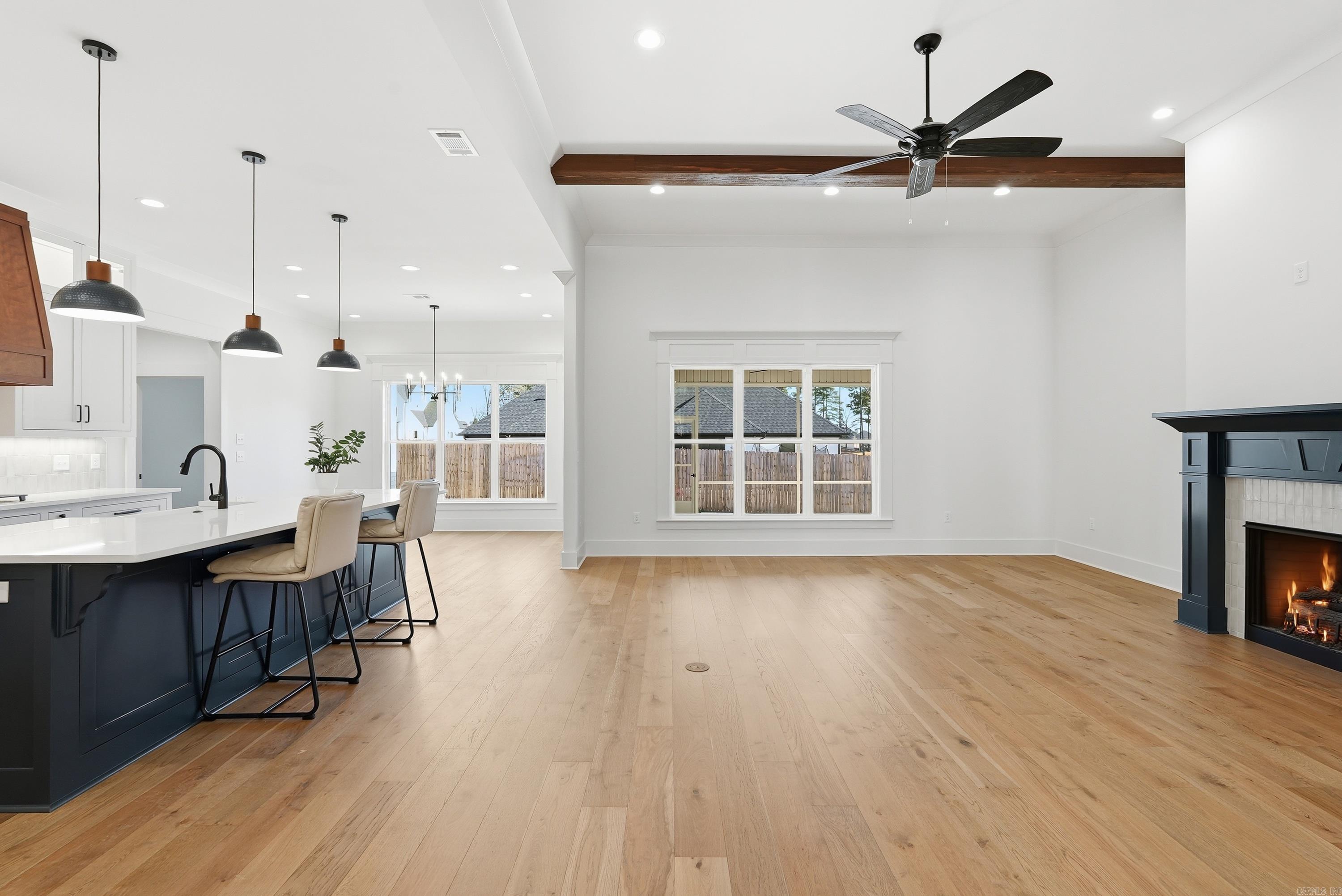 1650 Dolphin Drive  Conway, AR