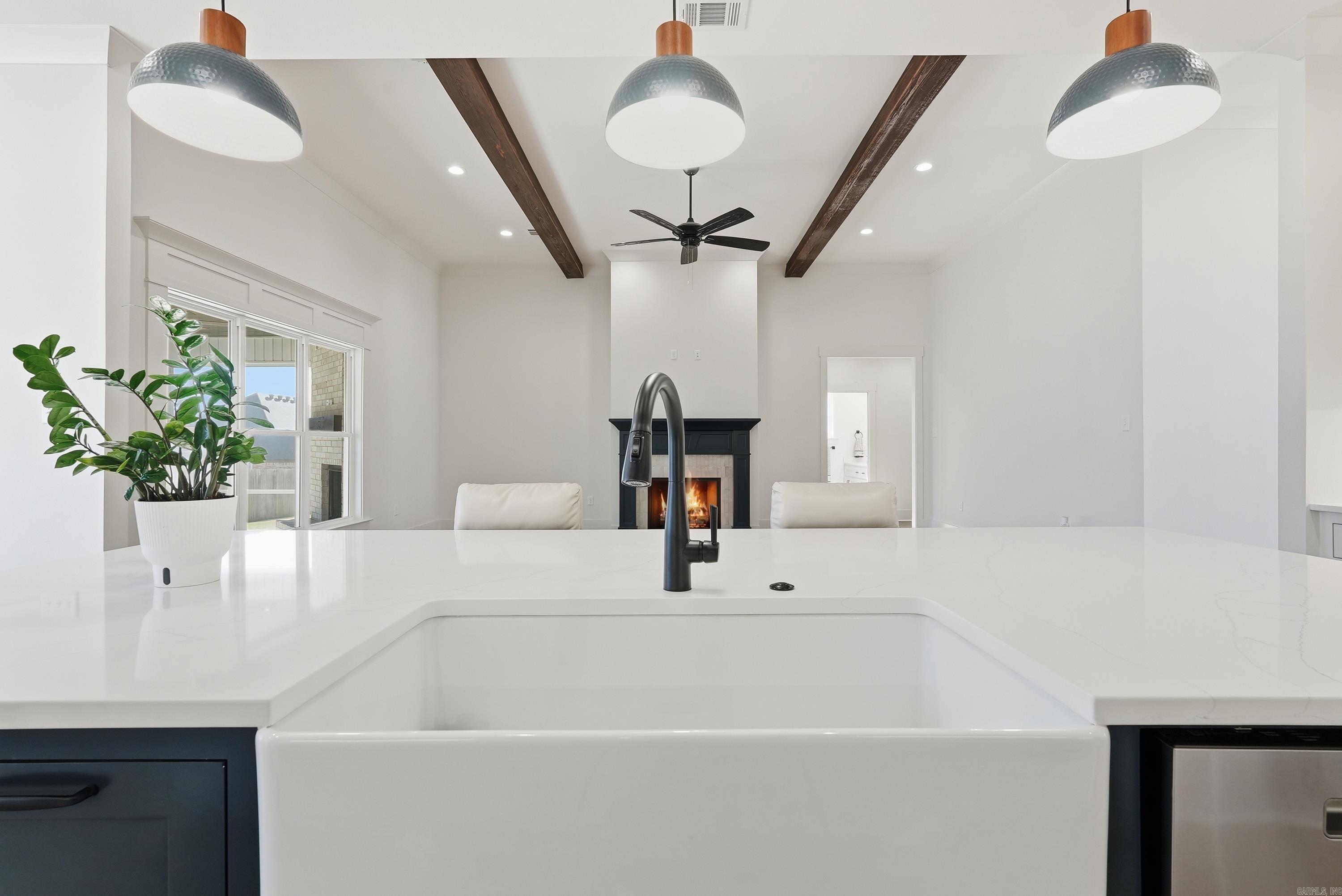 1650 Dolphin Drive  Conway, AR