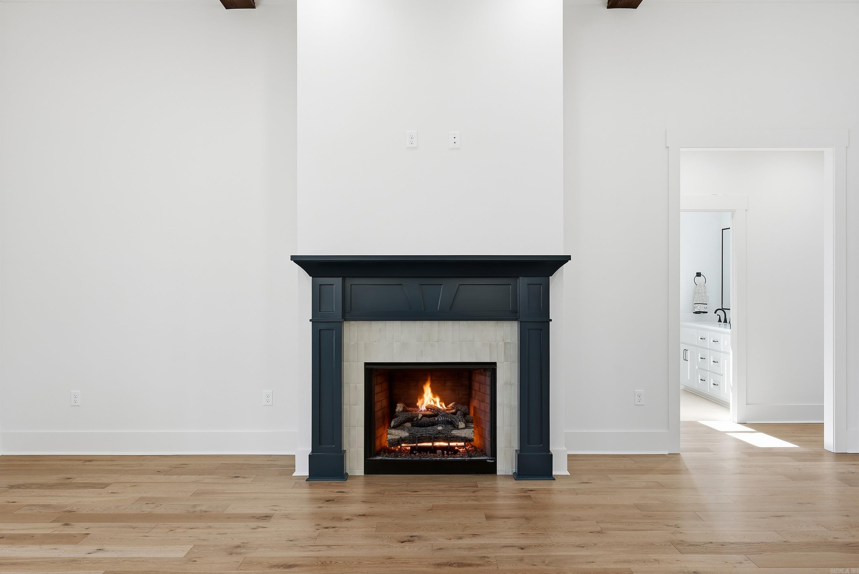 1650 Dolphin Drive  Conway, AR