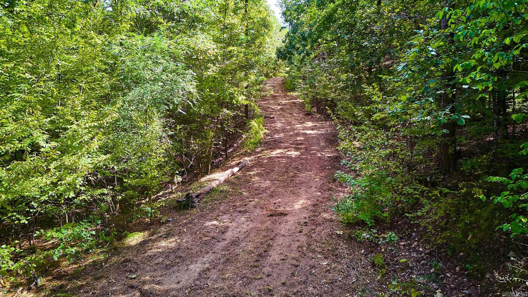 Lot 16 Tall Hickory Road  Hot Springs, AR