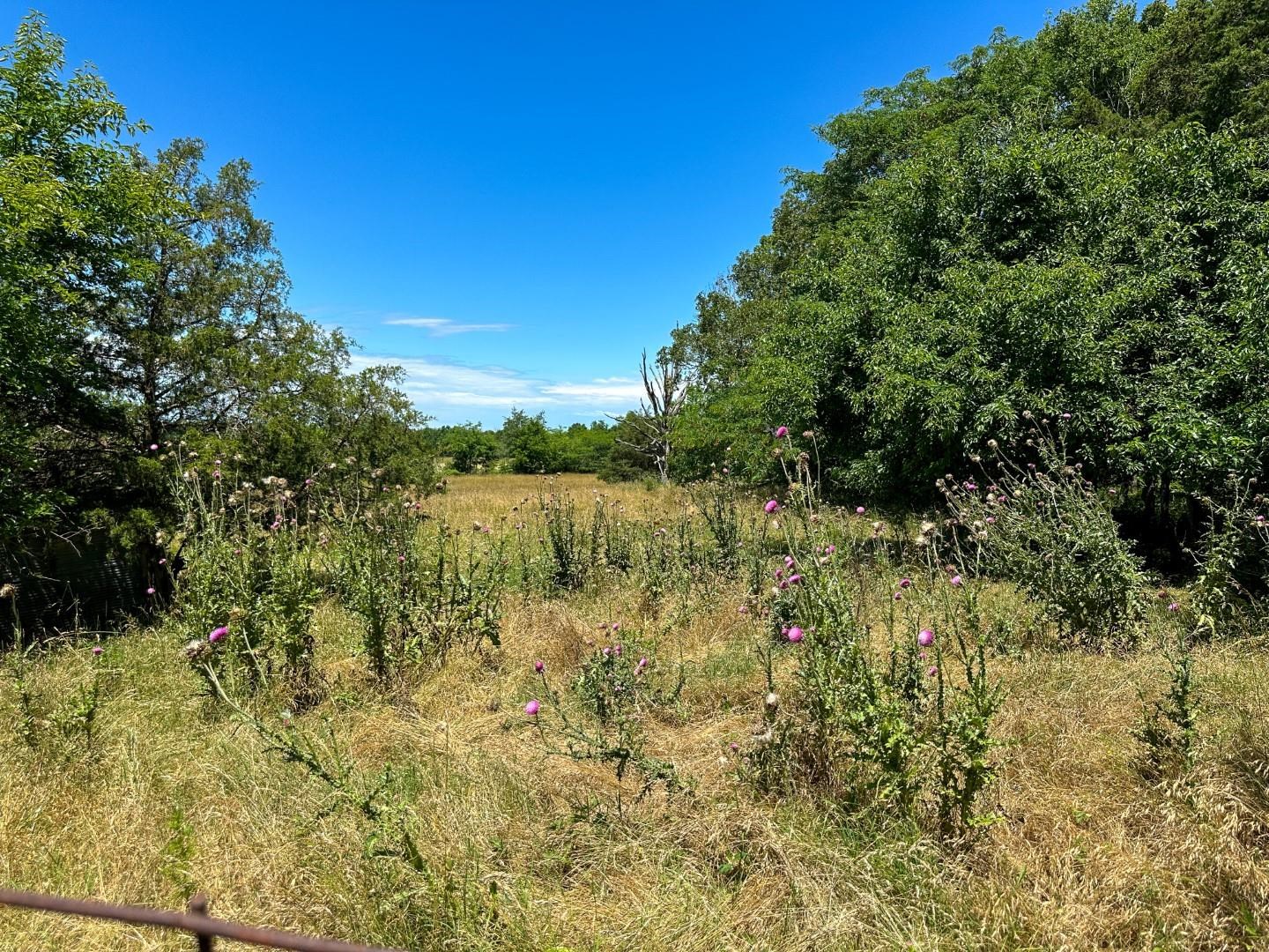 4115 Johnson View  Wiseman, AR