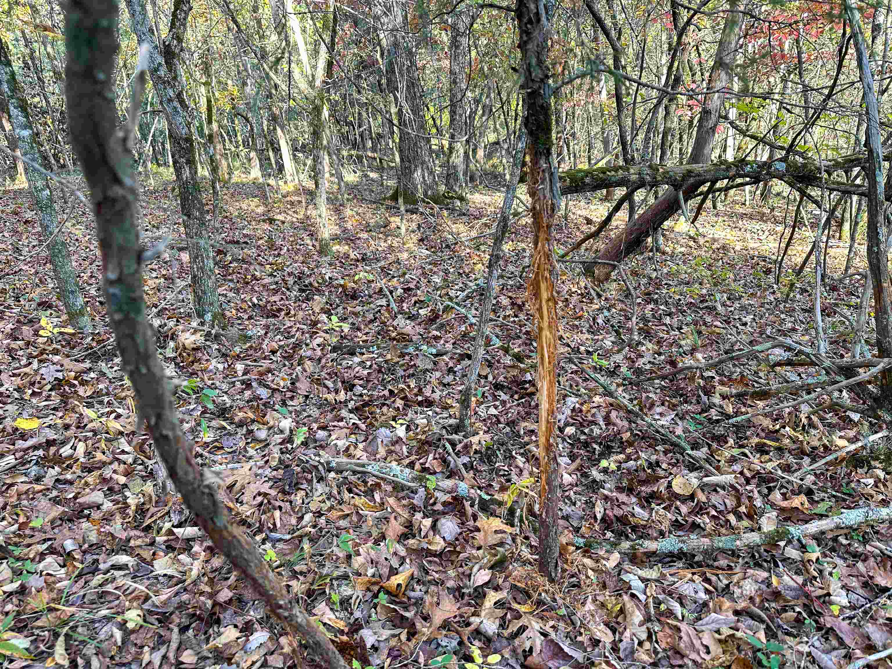 4115 Johnson View  Wiseman, AR