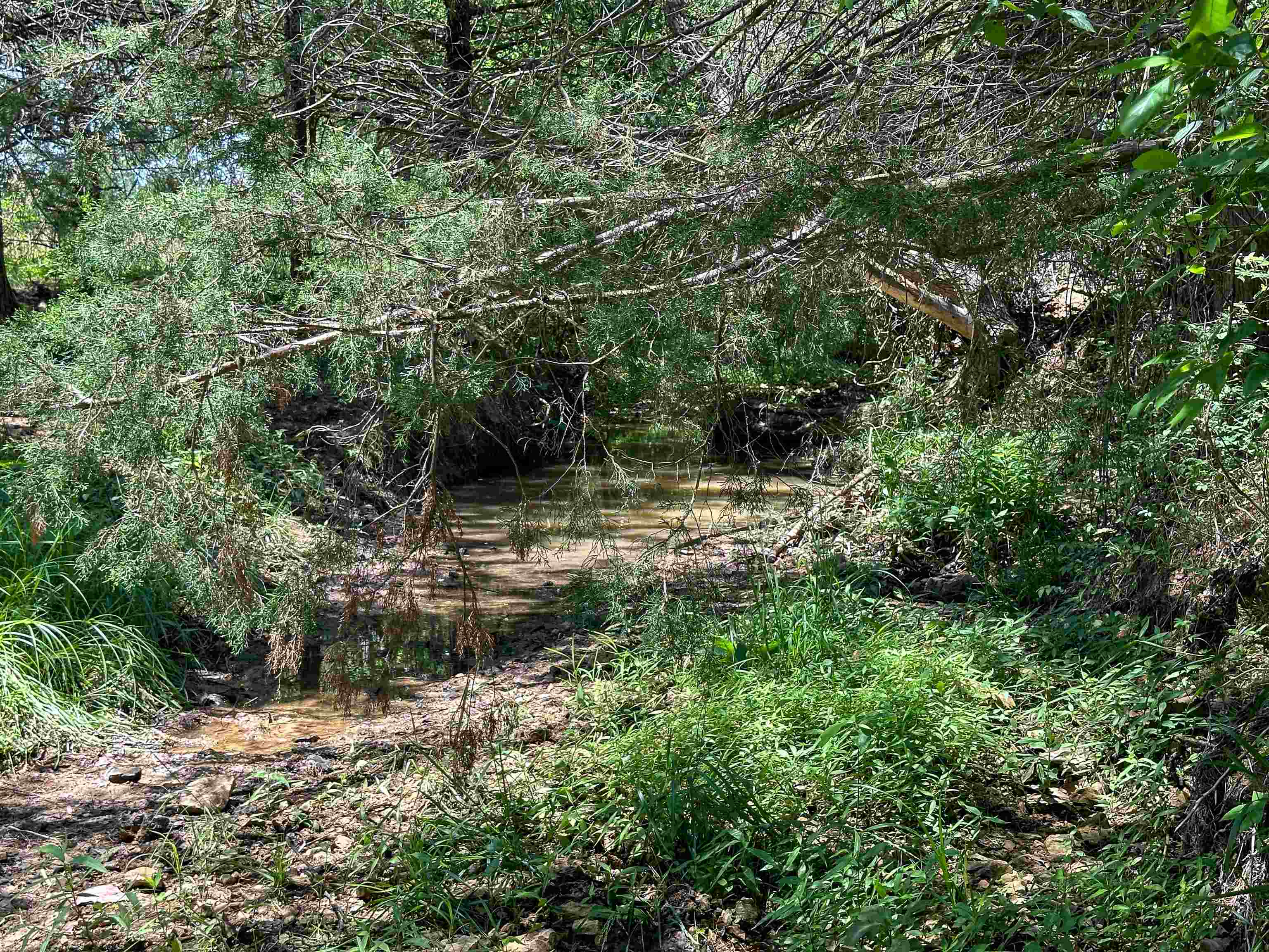 4115 Johnson View  Wiseman, AR