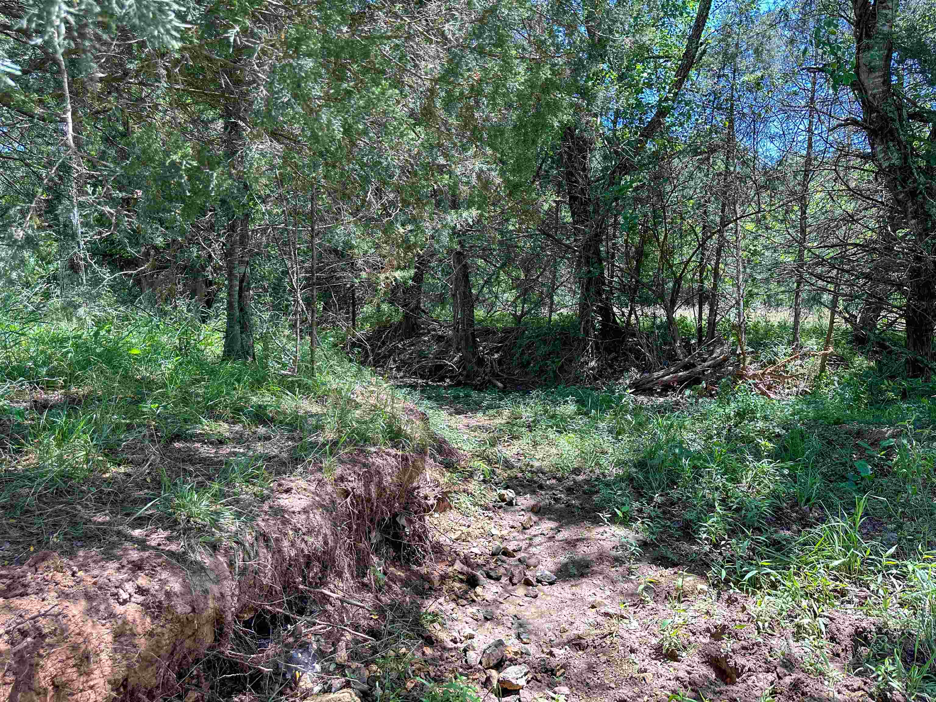 4115 Johnson View  Wiseman, AR