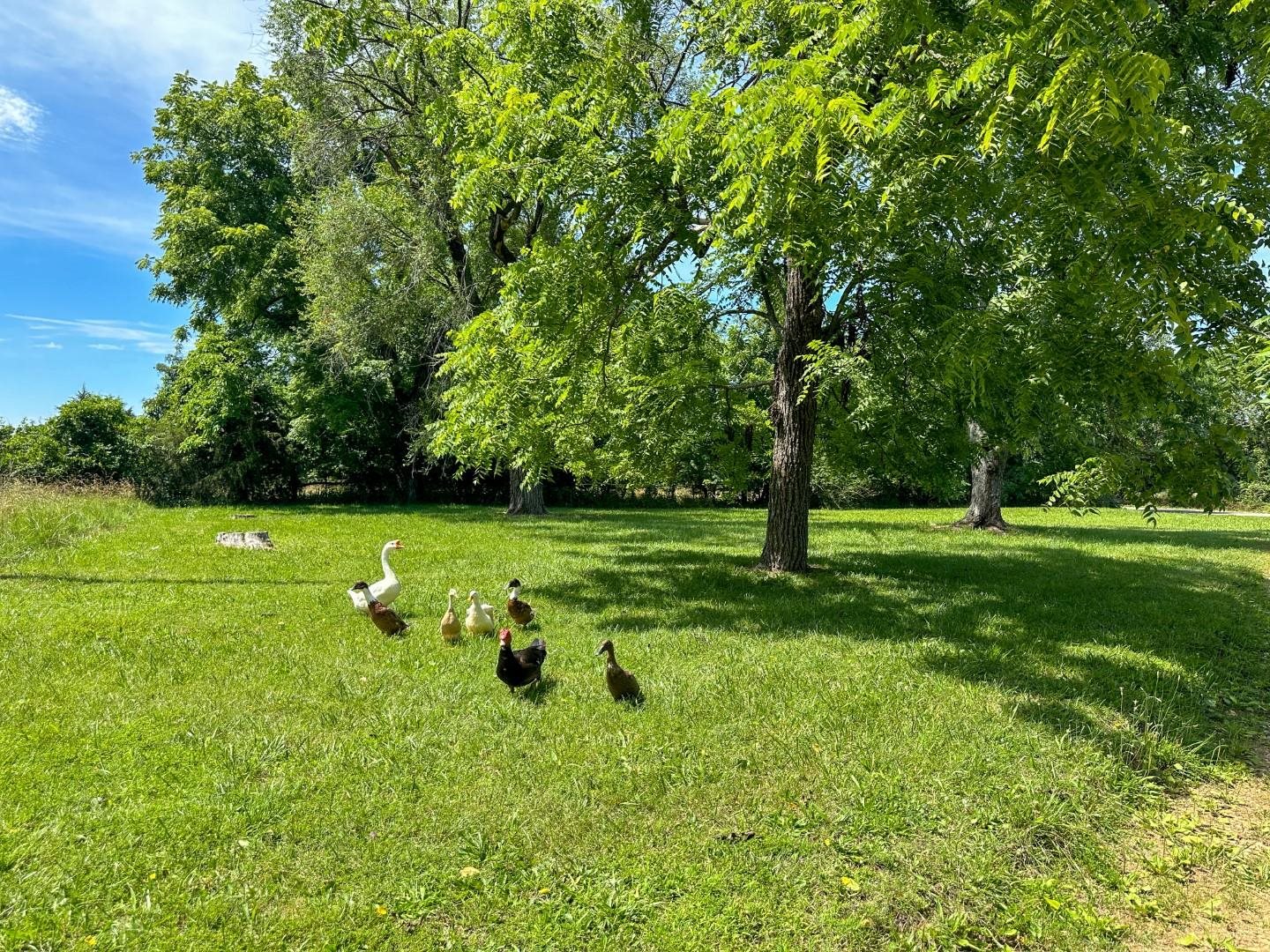 4115 Johnson View  Wiseman, AR