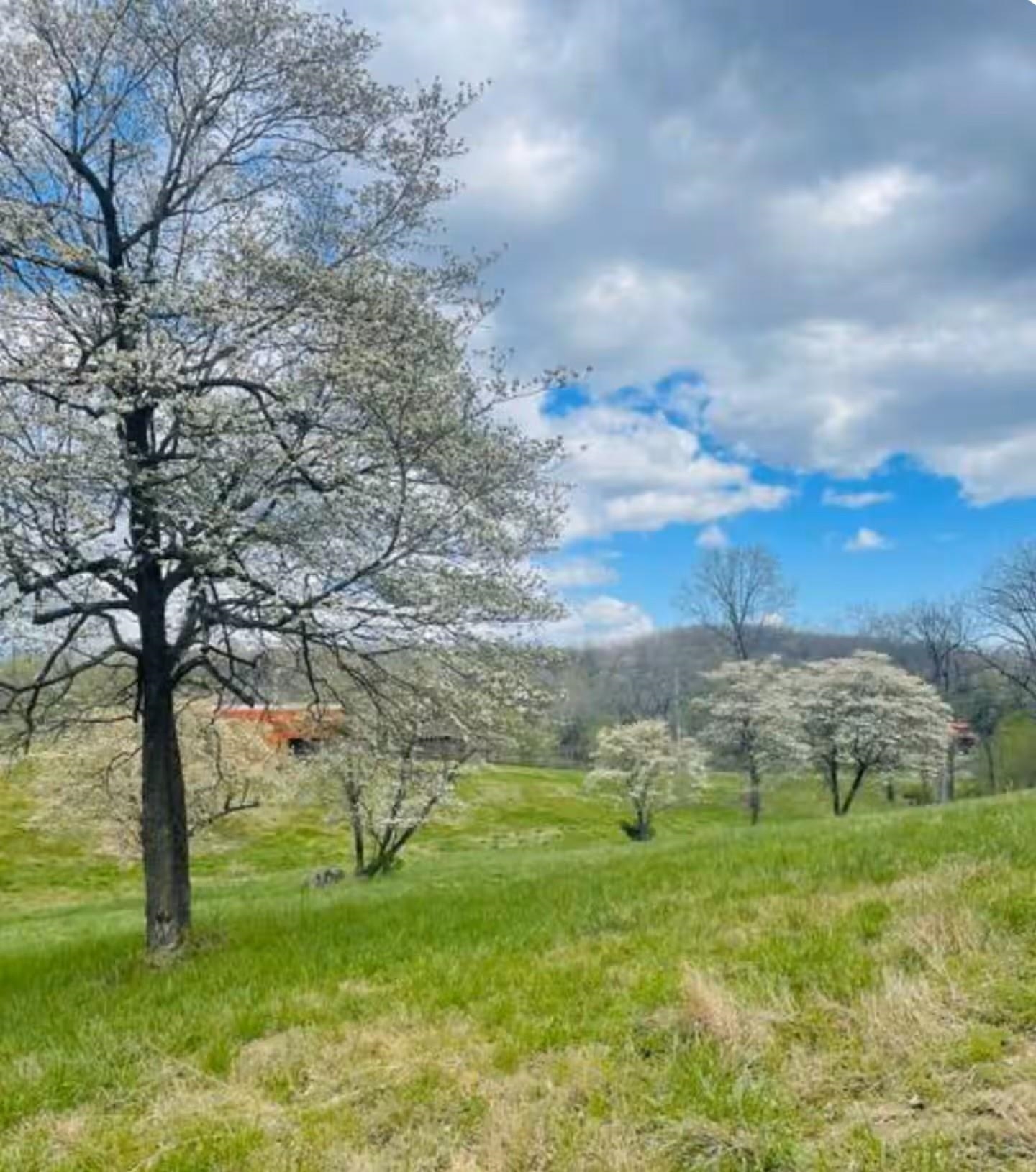 35 Riverbend Rd  Mammoth Spring, AR