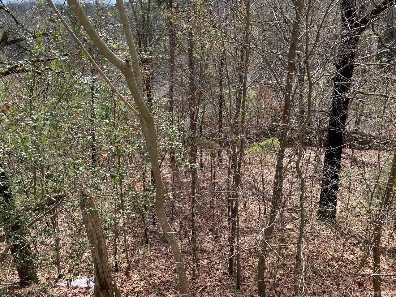 00 WildWood  Ash Flat, AR