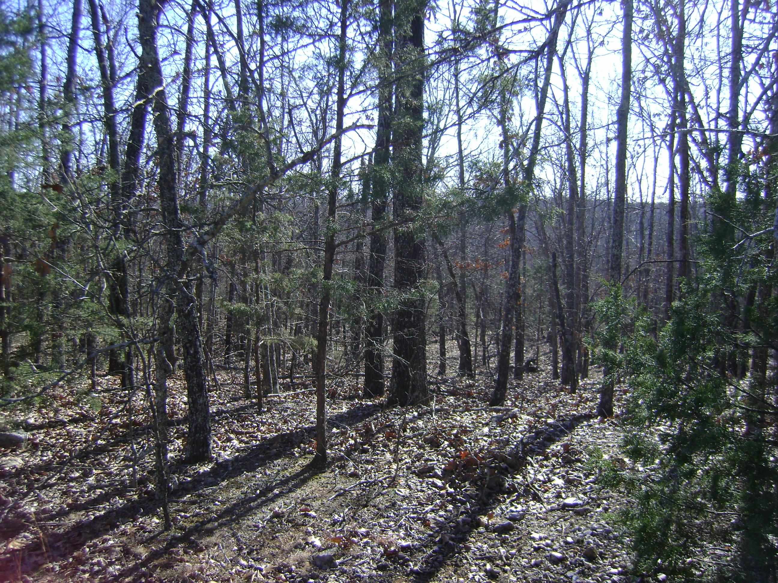 XXX Venture Lane  Ash Flat, AR