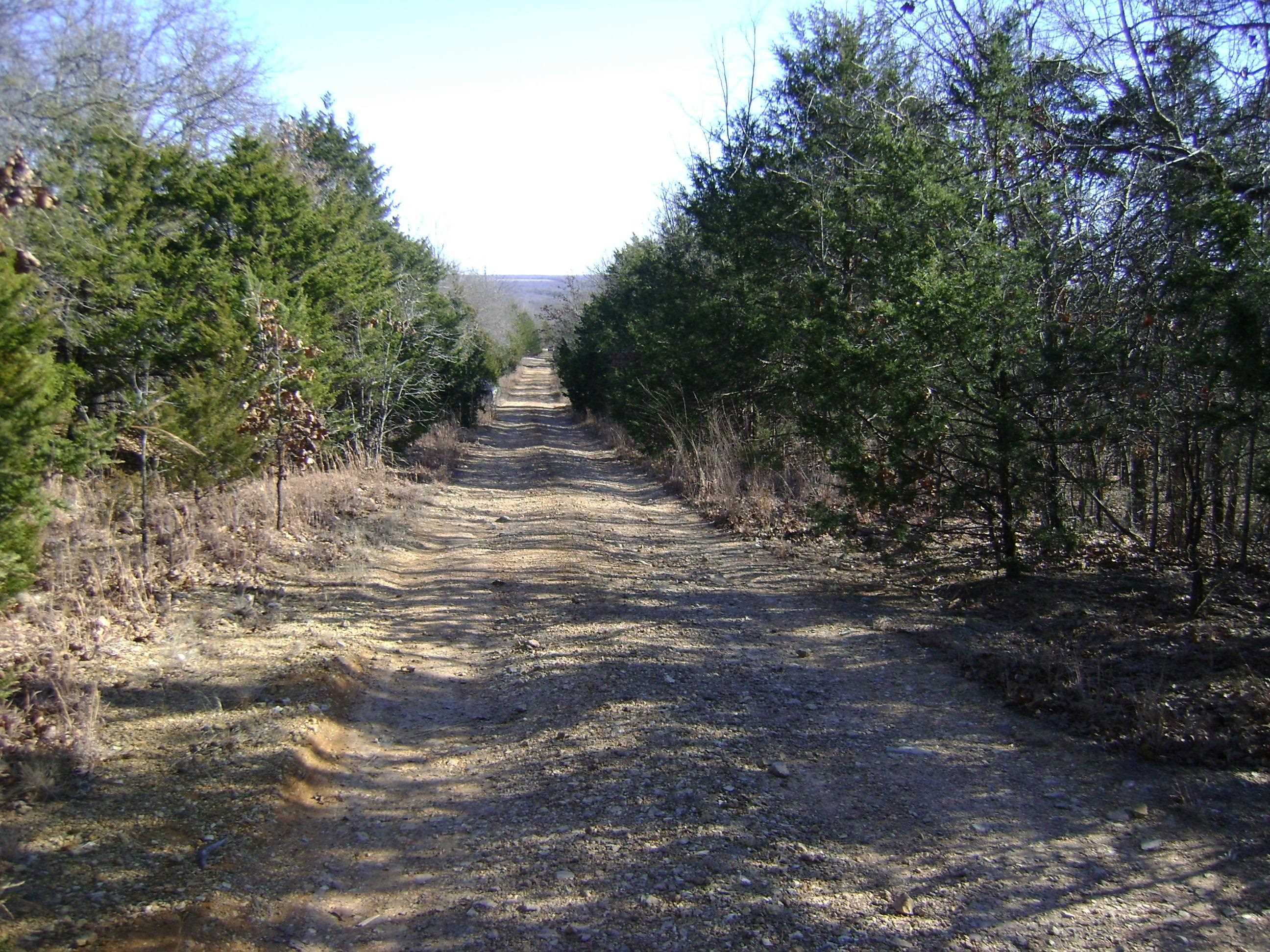 XXX Venture Lane  Ash Flat, AR