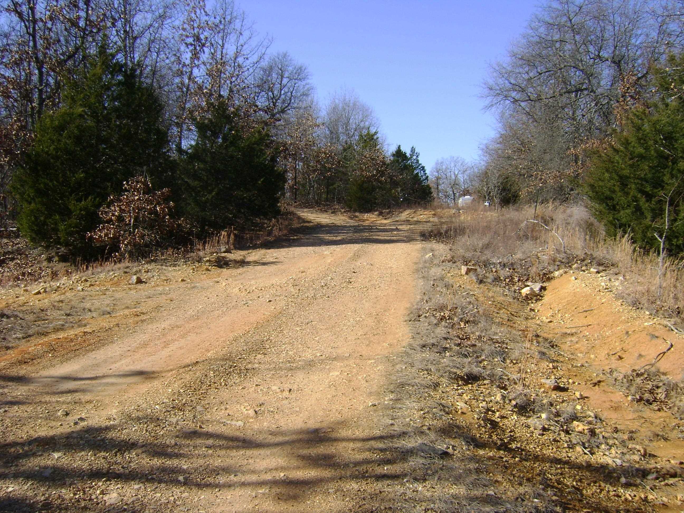 XXX Venture Lane  Ash Flat, AR