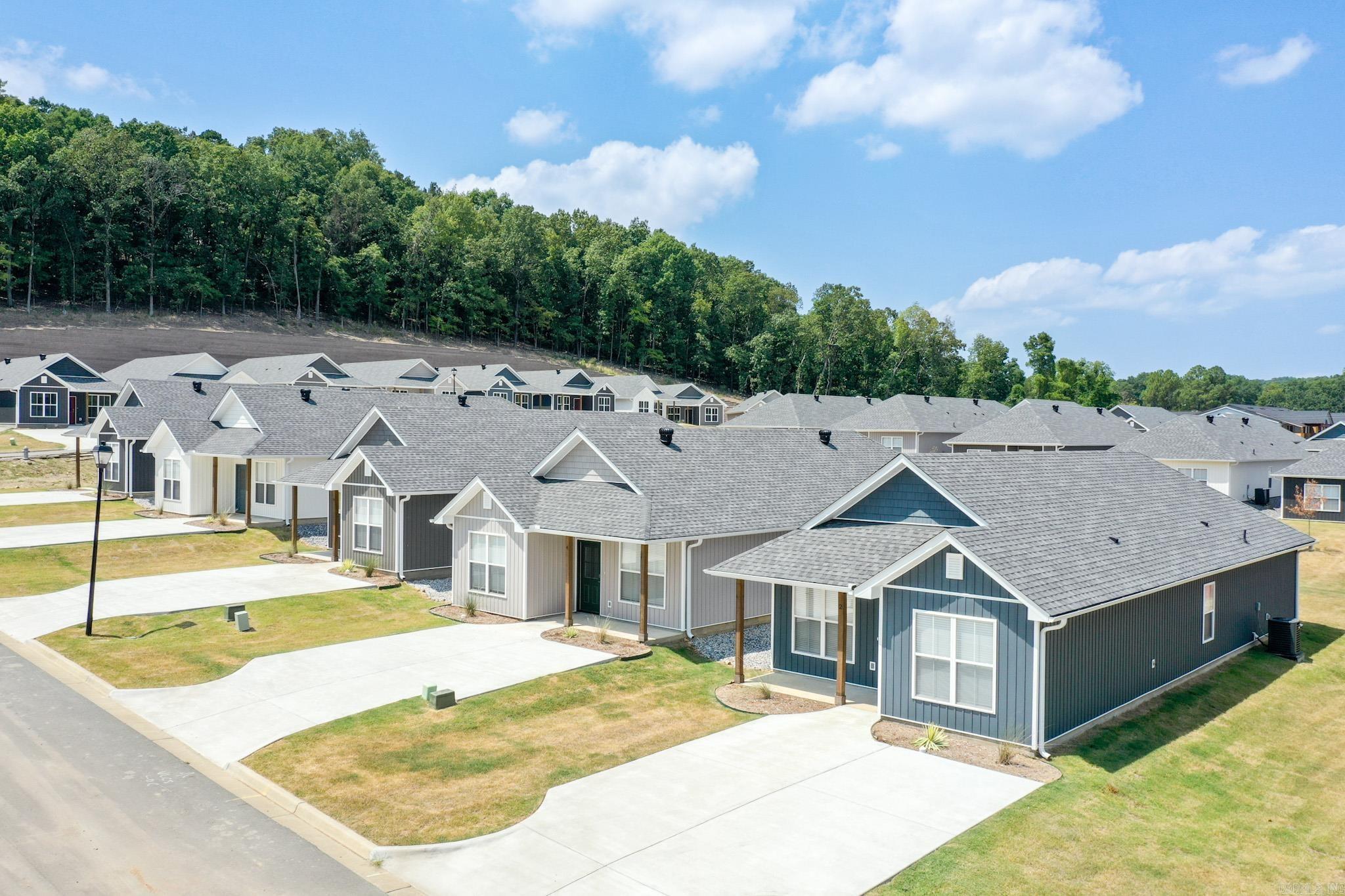 41 Wolfsbridge  Little Rock, AR