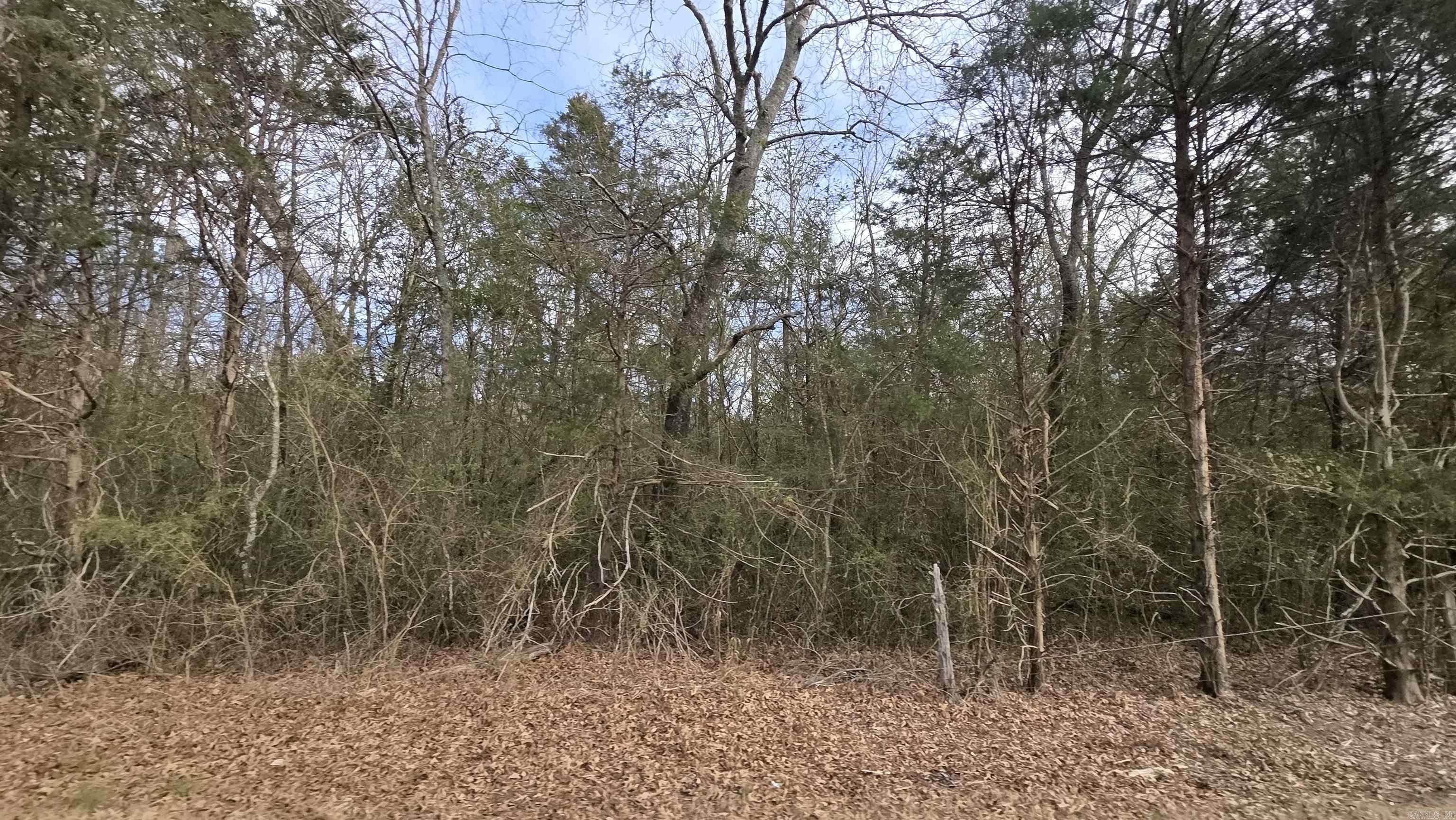 5975 Greers Ferry  Greers Ferry, AR