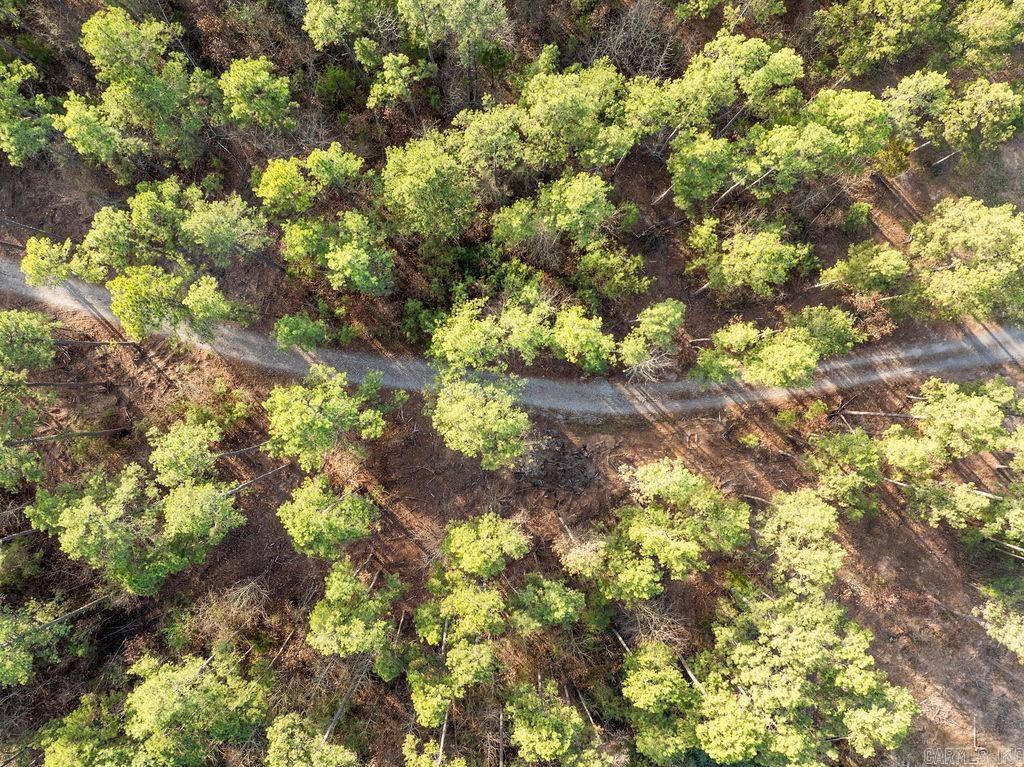 260 S Sawmill  Quitman, AR