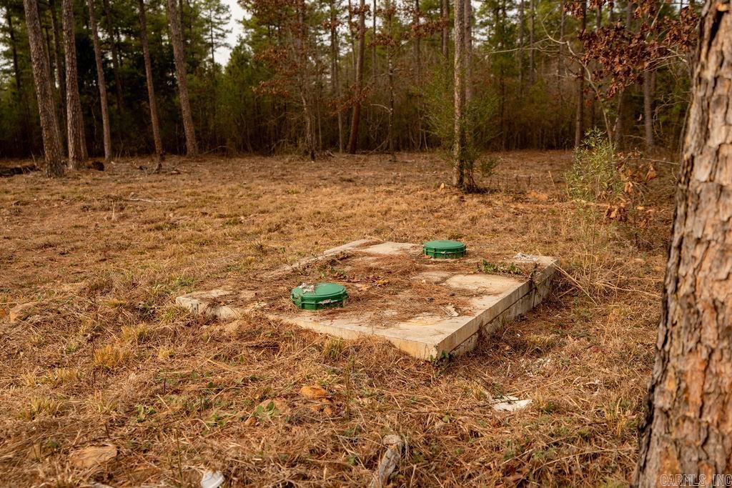 260 S Sawmill  Quitman, AR