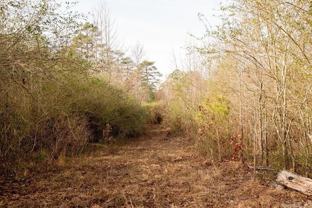 260 S Sawmill  Quitman, AR