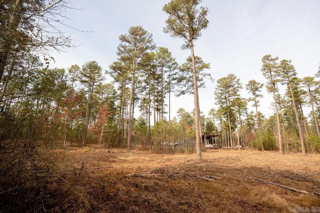 260 S Sawmill  Quitman, AR