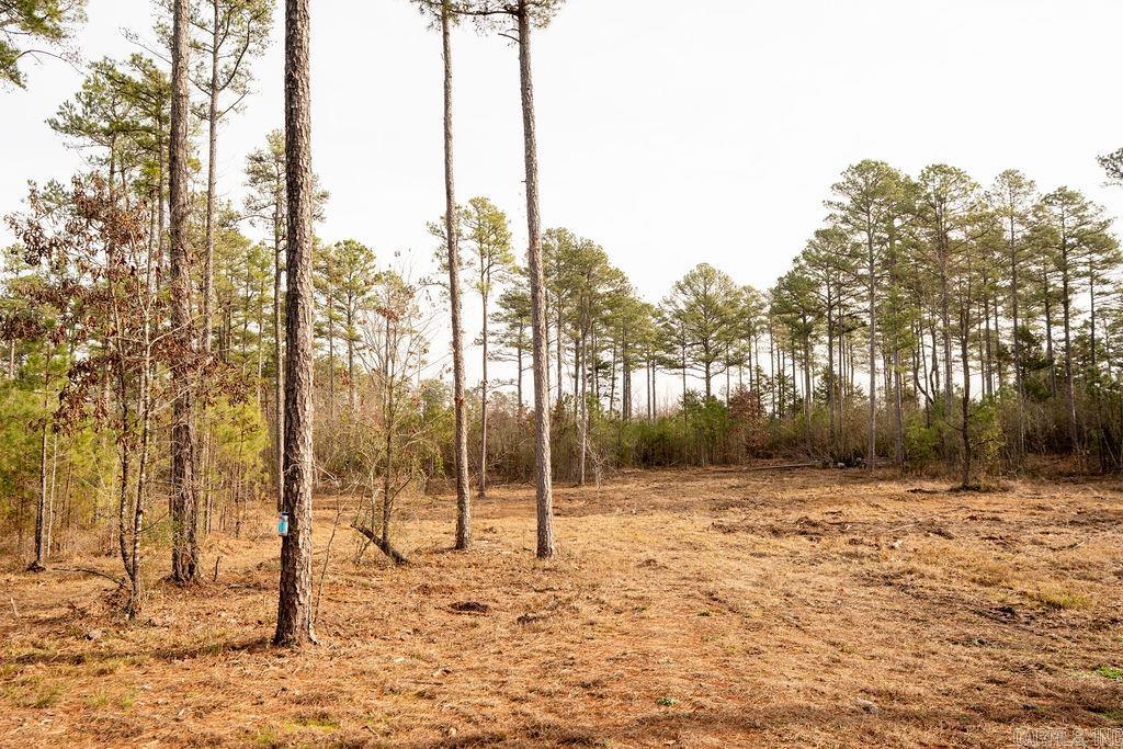 260 S Sawmill  Quitman, AR