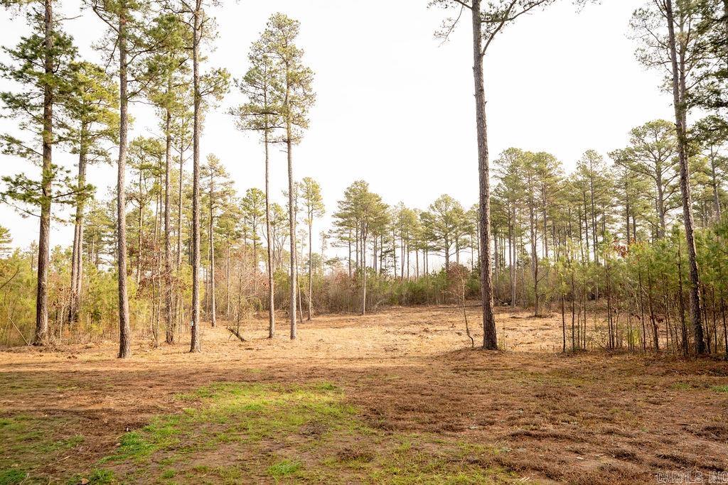 260 S Sawmill  Quitman, AR