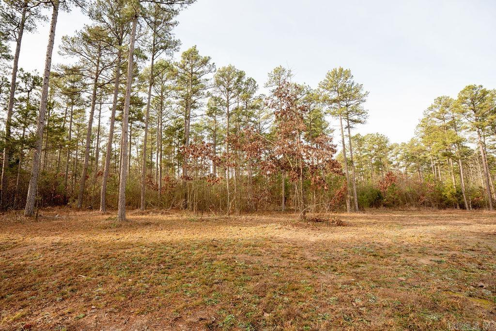 260 S Sawmill  Quitman, AR